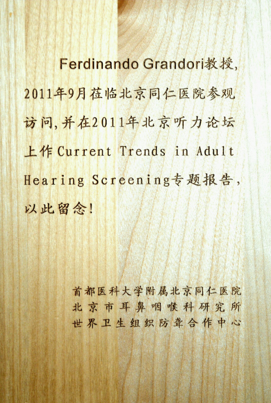 Awards / Honors / Honorary Memberships